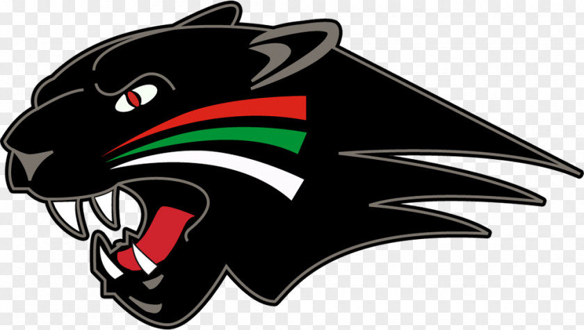 Atlanta Falcons Nation Ford High School Falcon Niagara-Wheatfield Central District NFL PNG