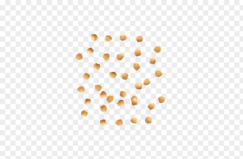 Chickpea Point PNG
