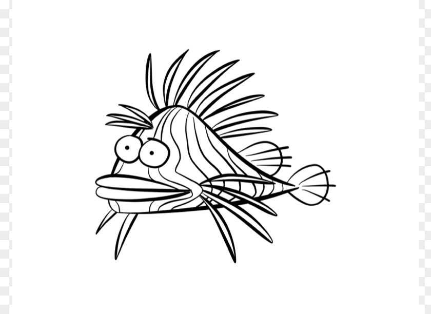 Fish Line Drawings Red Lionfish Drawing Coloring Book Clip Art PNG
