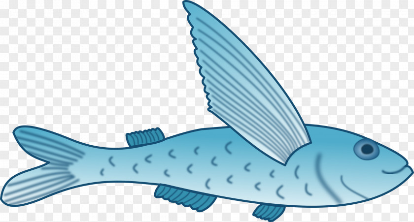 Fishing Flying Fish Fin Clip Art PNG