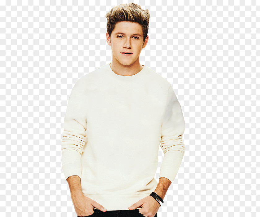 One Direction Niall Horan Guitar 5 Seconds Of Summer PNG