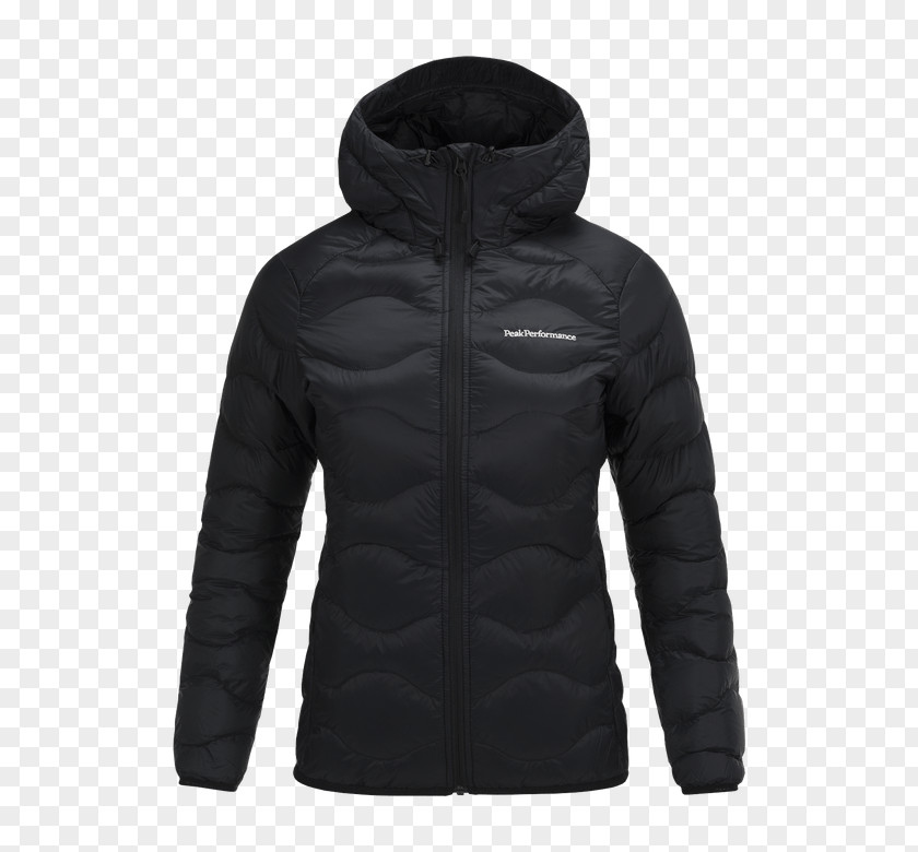Black Jacket With Hood Brown The North Face Men's Apex Flex GTX Bionic 2 2.0 PNG