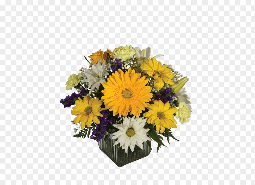 Flower Transvaal Daisy Floral Design Cut Flowers Gift PNG