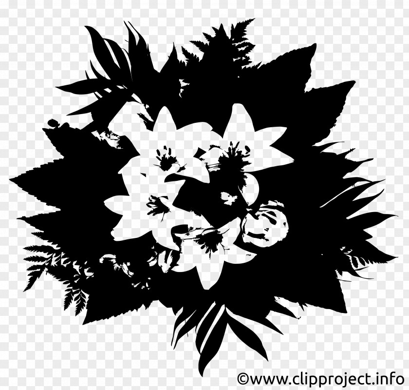 Herbaceous Plant Vascular Black And White Flower PNG