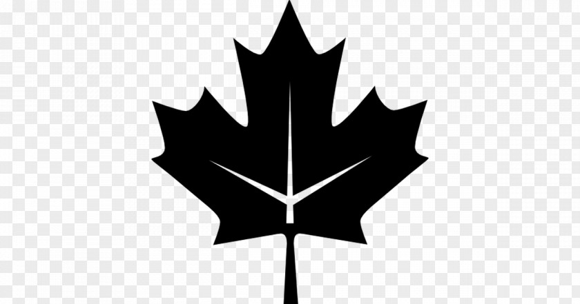 Canada Flag Of Maple Leaf Day PNG