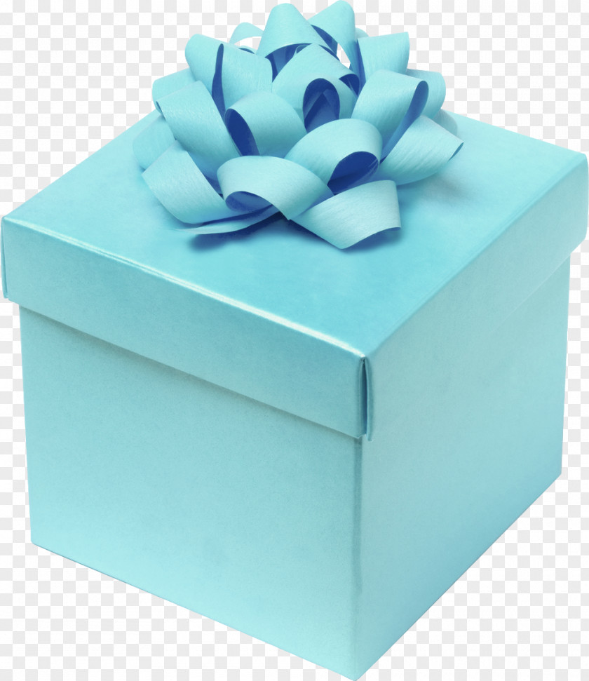 Mint Bow Gift Box Ribbon Orange PNG