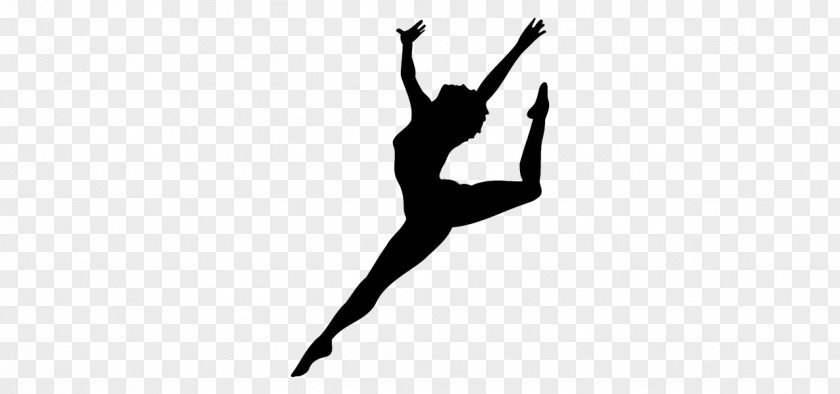 Sea Star Ballet Dancer Silhouette Pole Dance PNG