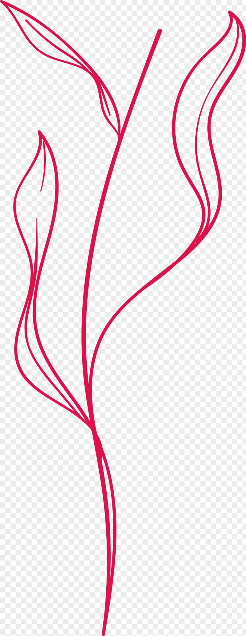 Simple Leaf Drawing Outline PNG