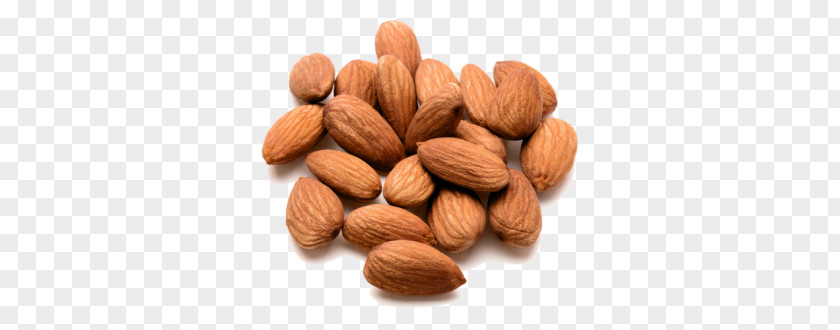 Almond PNG clipart PNG