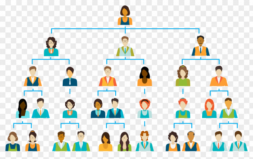 Business Organizational Chart Vector Graphics Illustration PNG
