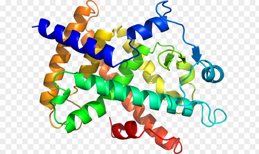 Clip Art Image Download Biomolecule PNG