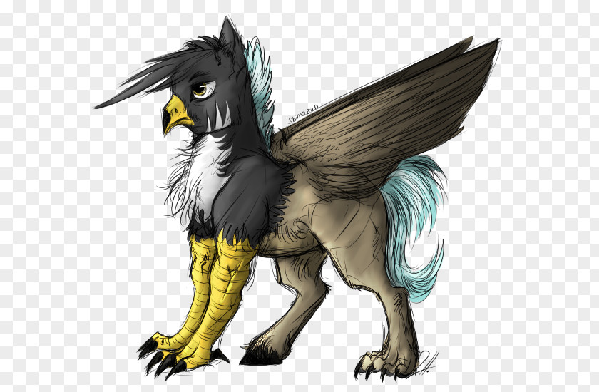 Dragon Griffin Legendary Creature Drawing Pony PNG