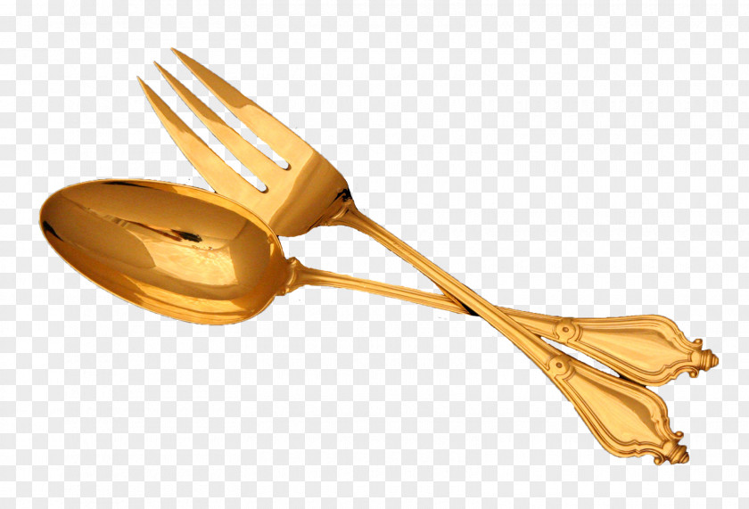 Fork Wooden Spoon Material PNG