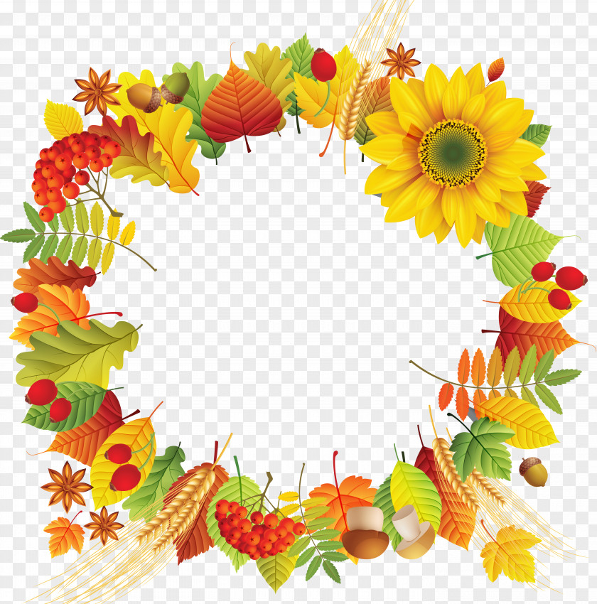 Leaf Floral Design Autumn Color Clip Art PNG