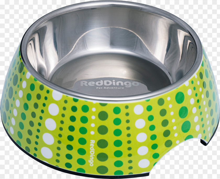 Lime Green Dingo Dog Cat Stainless Steel Bowl PNG