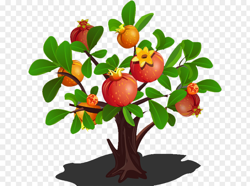 Pomegranate Tree Clip Art PNG