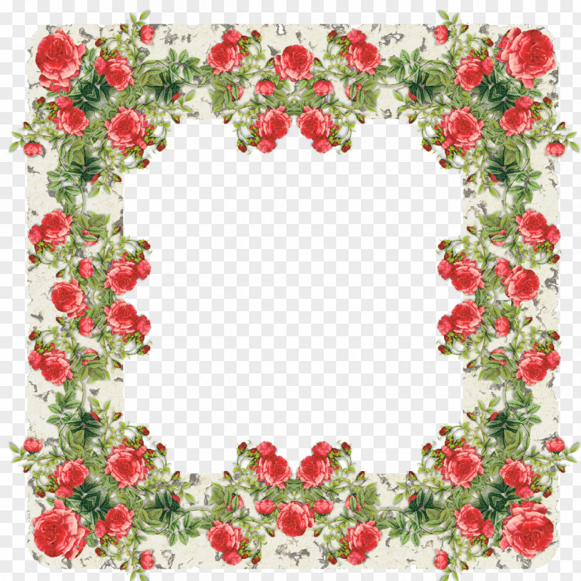 Rose Frame Picture Frames Stock Photography PNG