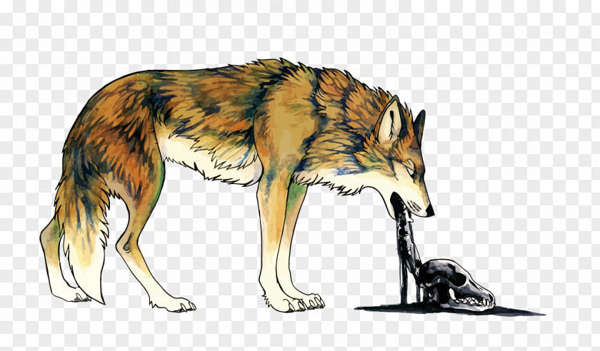 Vector Vomit Wolf Coyote Dog Vomiting Illustration PNG