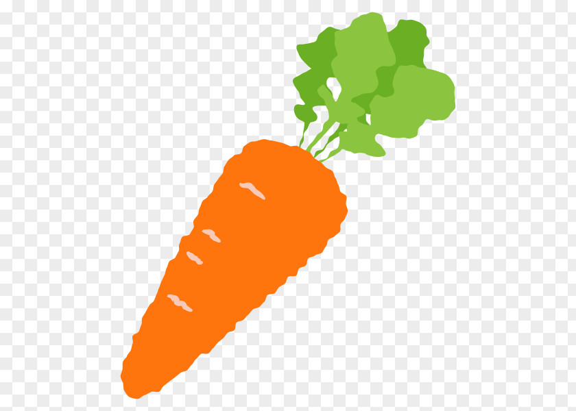 Carrot Illustration Vegetable Clip Art Plants PNG