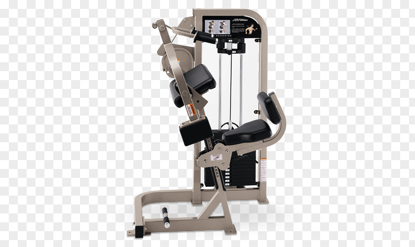 Fly Biceps Curl Life Fitness Exercise Equipment Physical PNG
