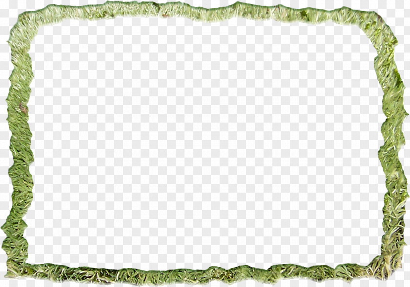 Grass Photo Frame Picture Green PNG