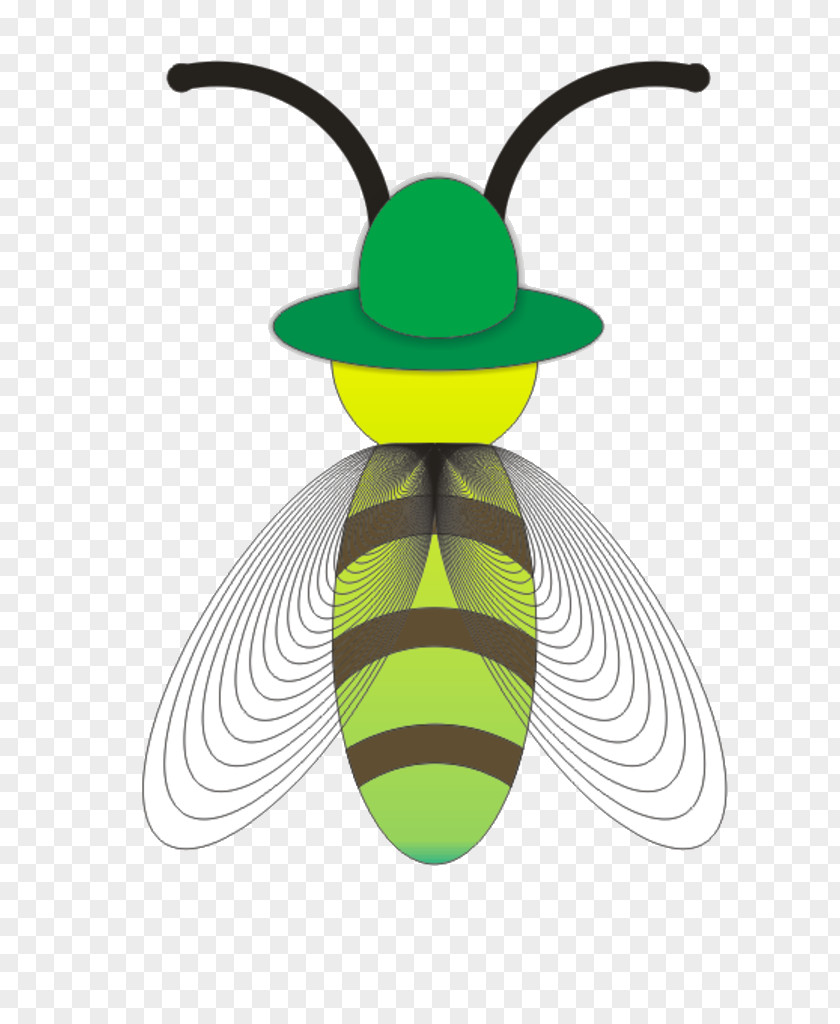 Green Firefly Beetle Animation Cartoon PNG