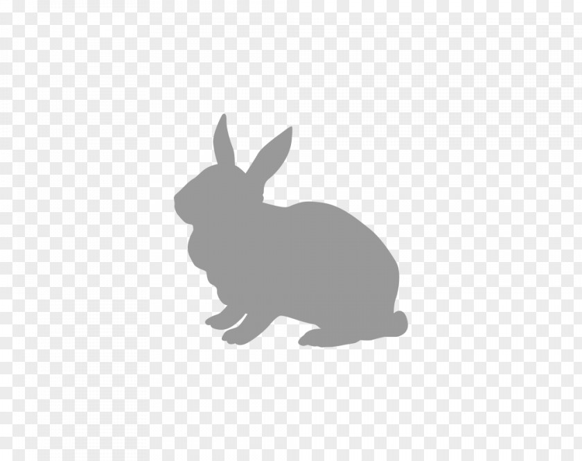 Rabbit Domestic Hare Lionhead Easter Bunny PNG