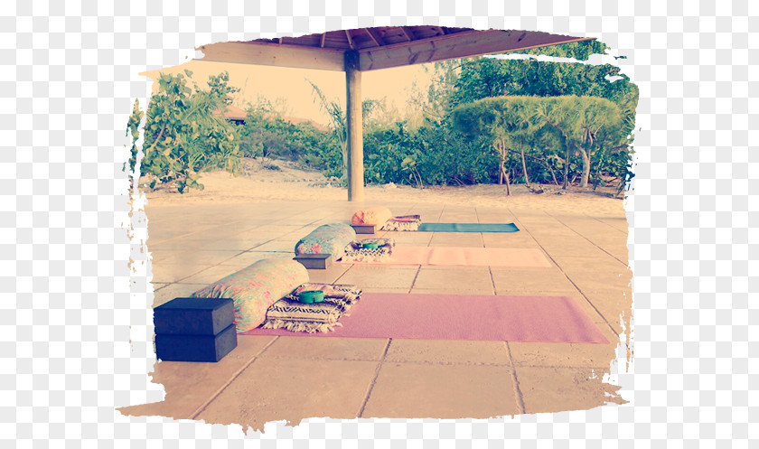 Self Care Self-care Cat Island Yoga Retreat Roof PNG