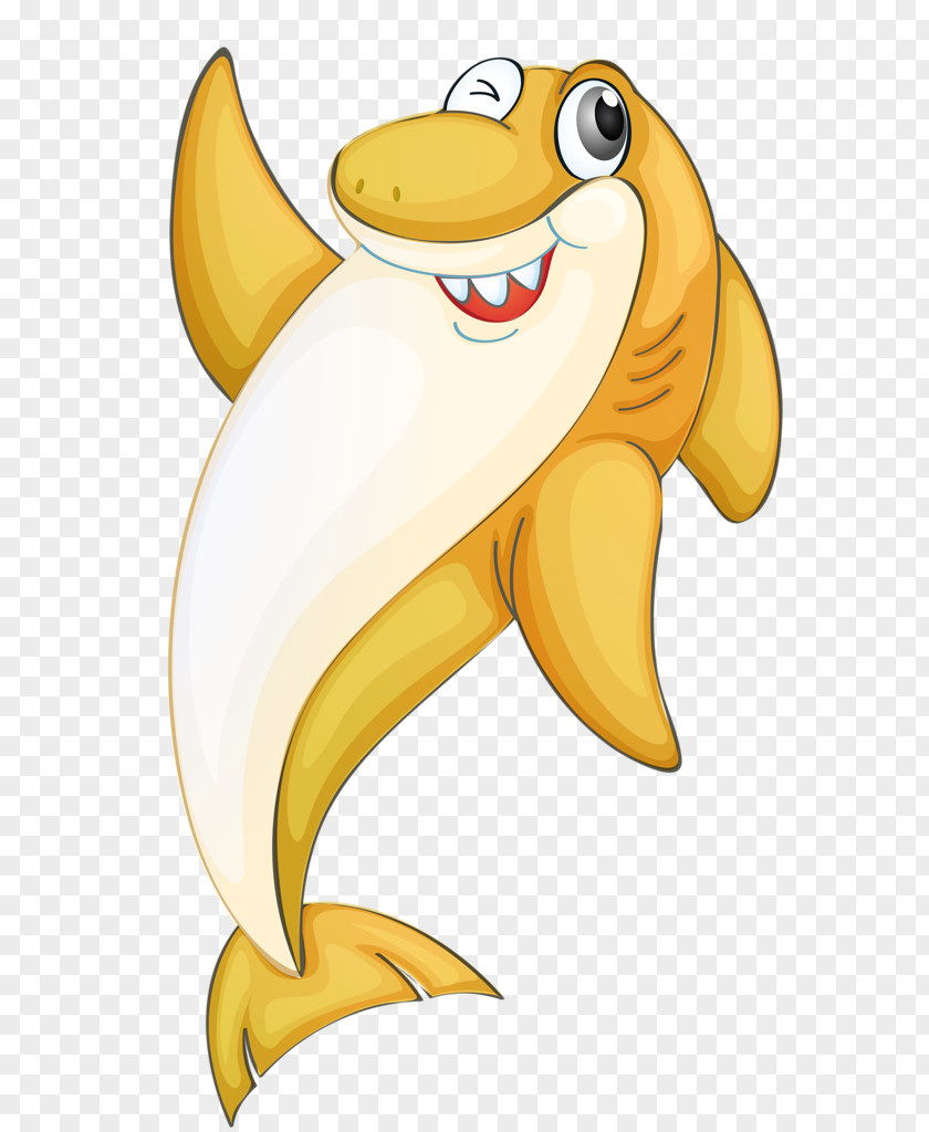 Shark Clip Art Vector Graphics Aquatic Animal Illustration PNG