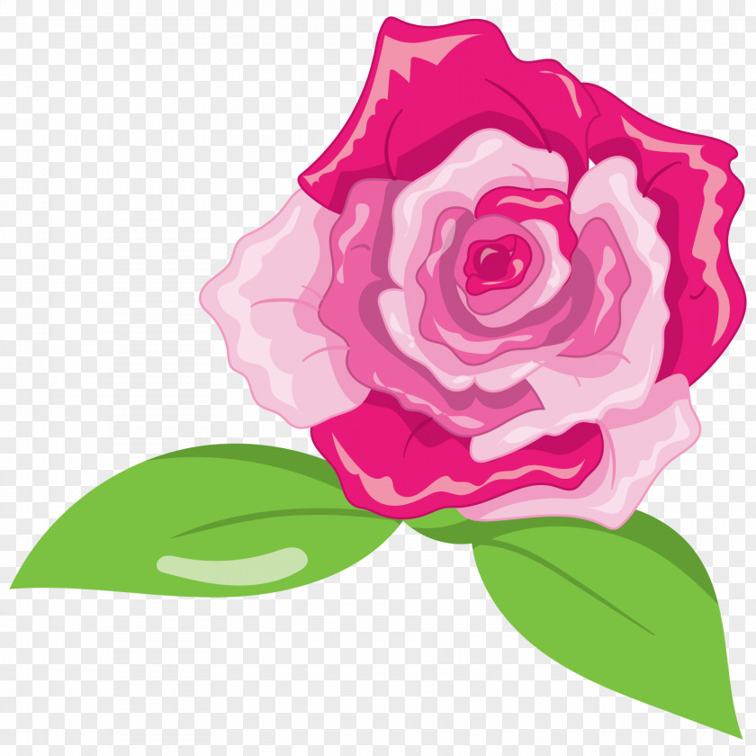 Beautiful Flowers Pink Illustration Green White PNG