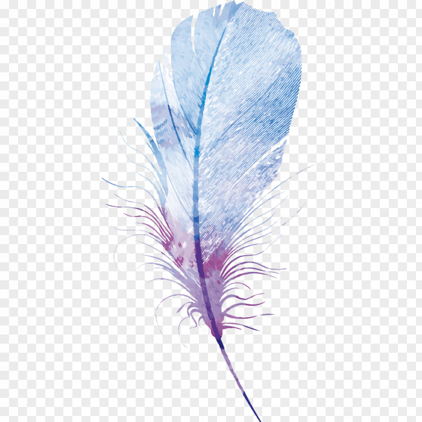 Beautiful Hand-painted Watercolor Single Feather Bird Painting Canvas PNG