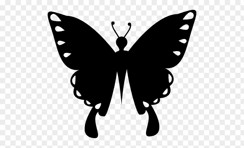 Butterfly Insect Shape PNG