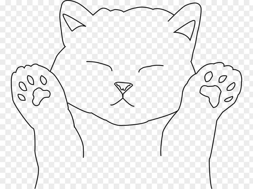 Cat Whiskers Kitten Puppy Coloring Book PNG