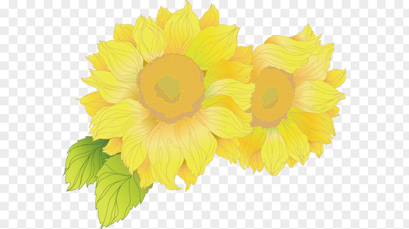 Chrysanthemum Yellow PNG