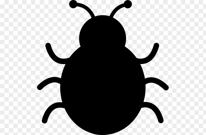 Clip Art Ladybird Beetle Image Insect Illustration PNG