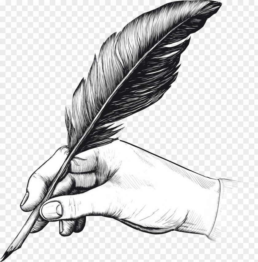 Feather Quill Fountain Pen Drawing Writing PNG