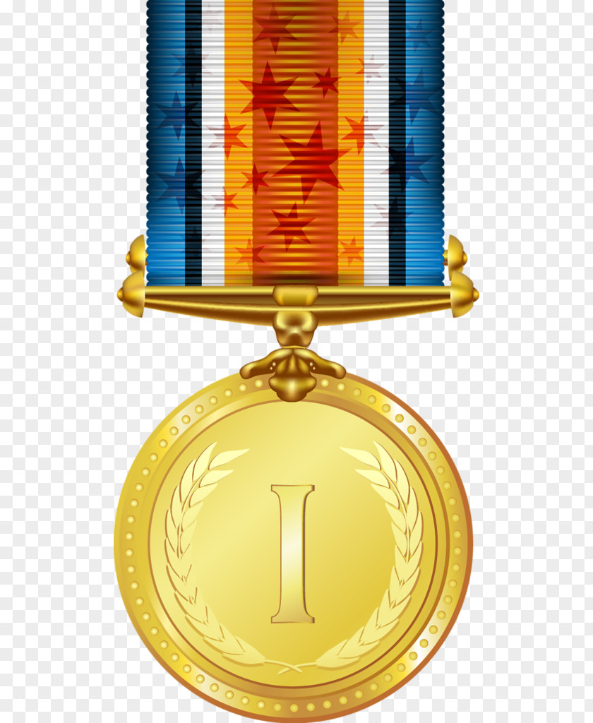 Medal Gold Bronze Internacional Pax Assistencia Funeral PNG