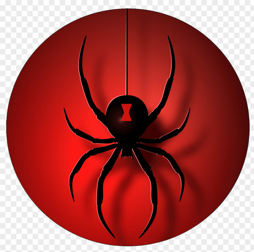 Spider Vector Graphics Stock Illustration Image PNG
