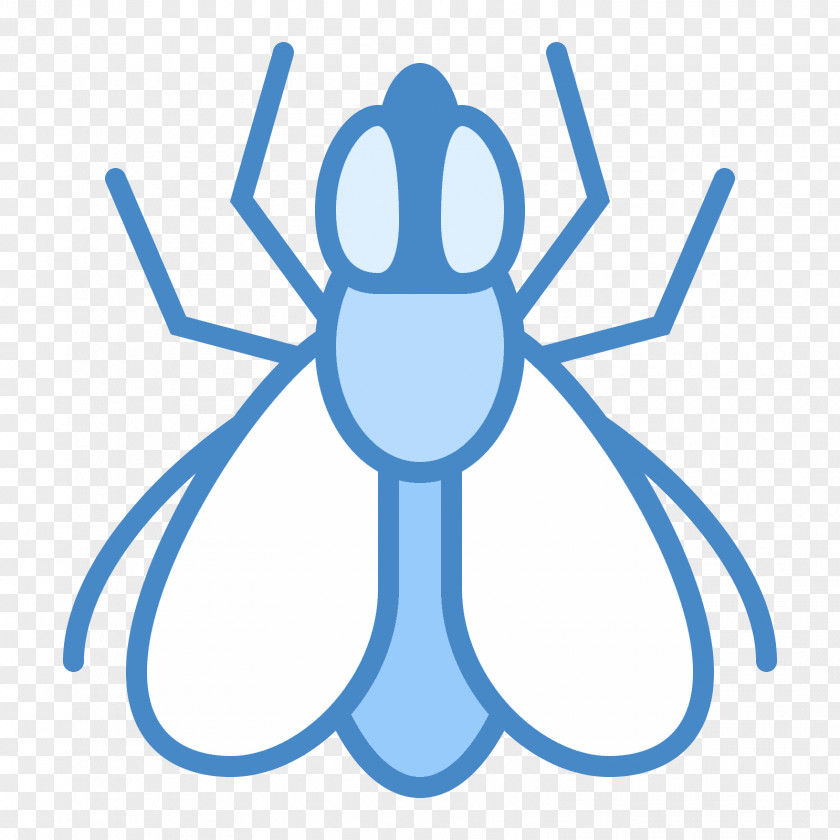 Flies Icon Flight Clip Art PNG