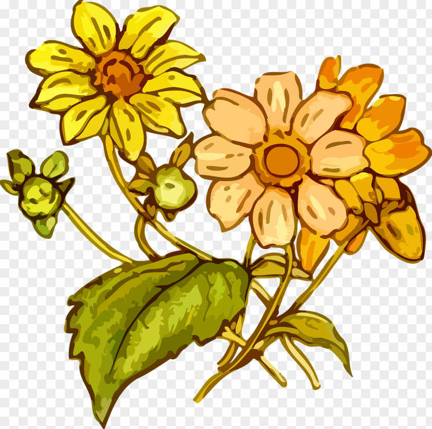 Flower Drawing Clip Art PNG