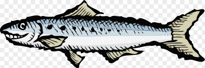 Line Art Black And White Mackerel (m) Fish Sardine PNG