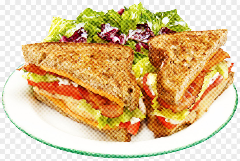 Sandwich Fast Food Dish Cuisine Ingredient Melt PNG