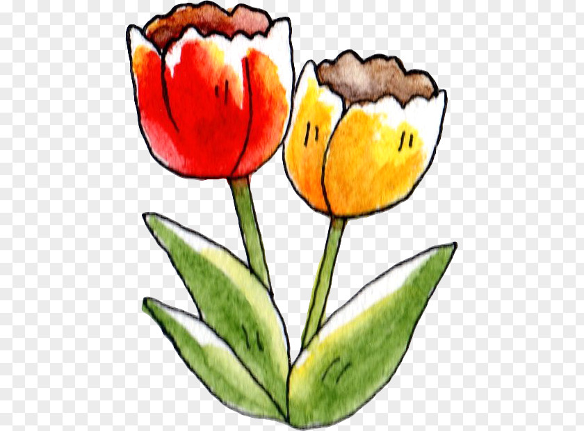 Tulip Clip Art Flower Illustration Petal PNG