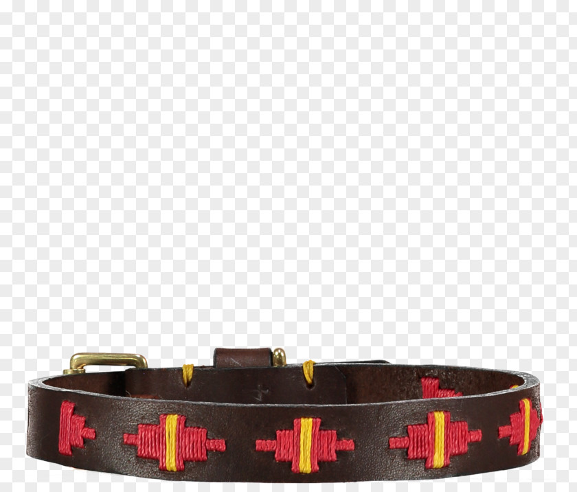 Belt Buckles Dog Collar PNG