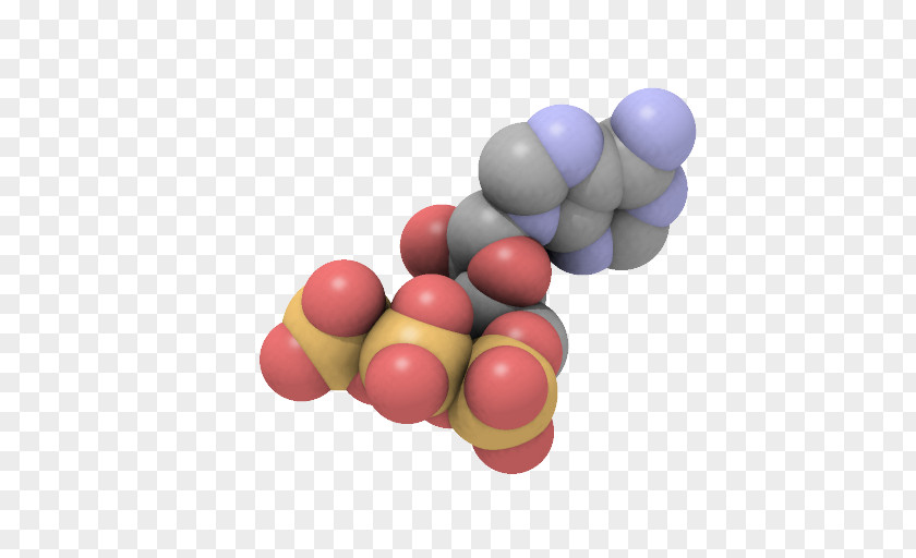 Energy Adenosine Triphosphate Diphosphate Electron Transport Chain PNG