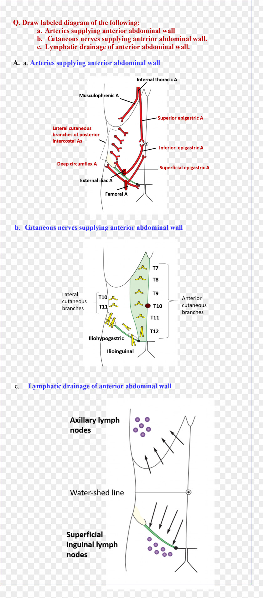 Line Document Angle PNG