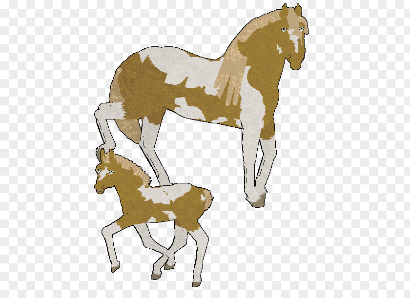 Mustang Mule Foal Colt Stallion PNG