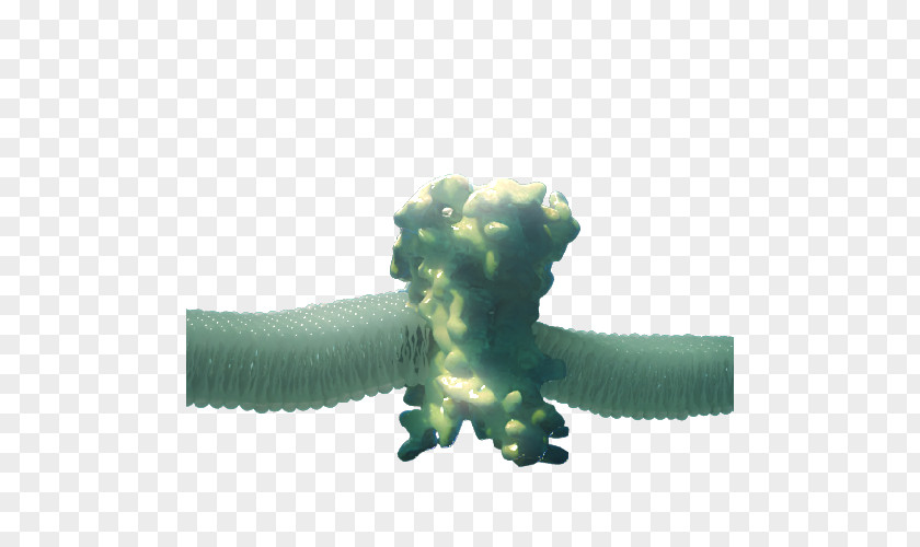 Serotonin 5-HT Receptor Google Images PNG