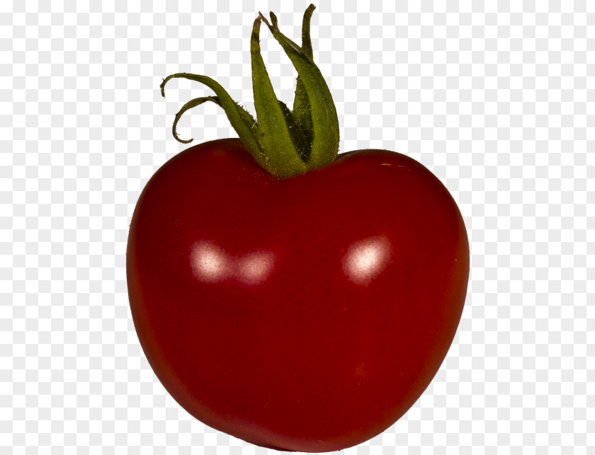Solanales Superfood Tomato Cartoon PNG