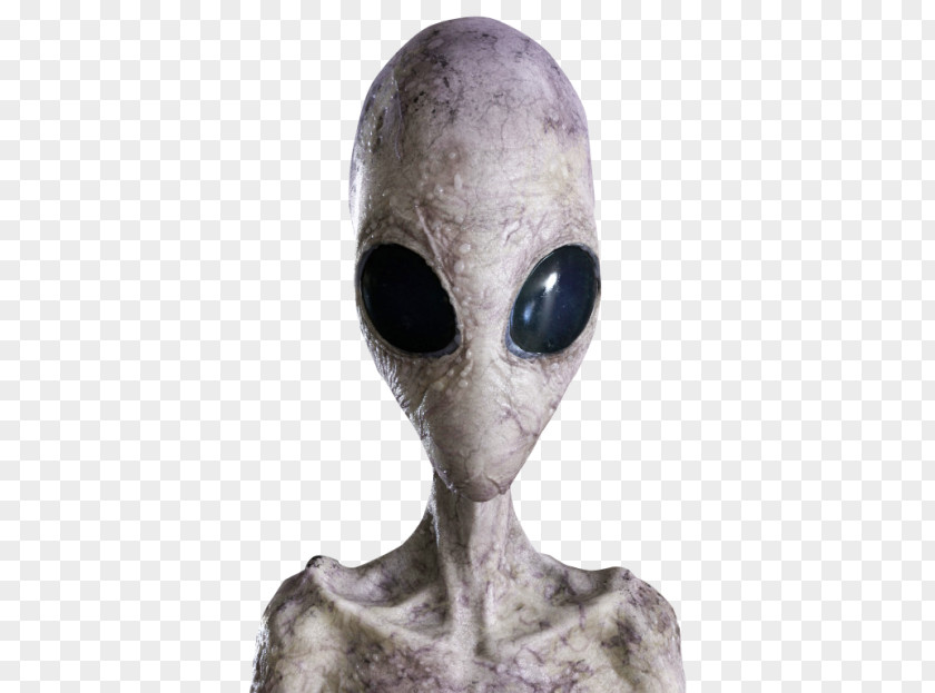 Alien Transparent Grey Extraterrestrial Life PNG
